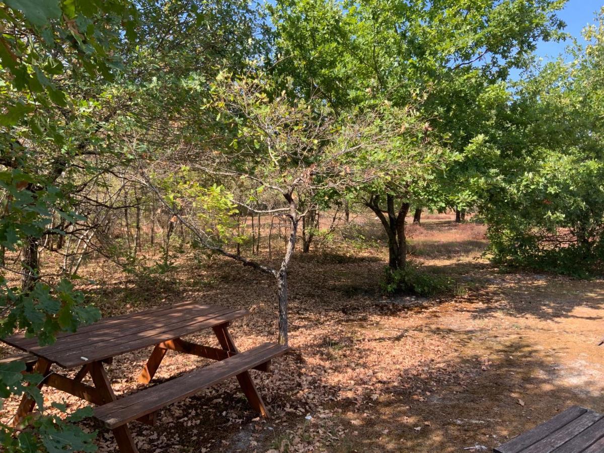 Bed and Breakfast Domaine De Labelo Commensacq Exterior foto
